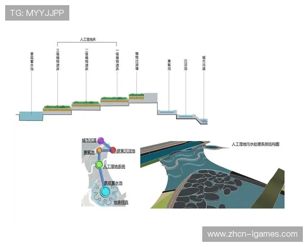 复合型空间设计理念普及，场馆功能从单一竞技向综合服务延伸